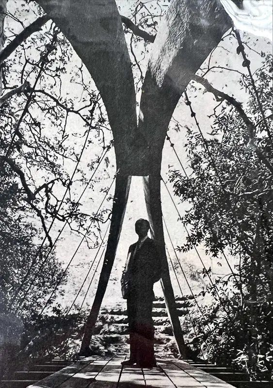 George Hasslein standing on a suspension bridge among trees in 1961.
