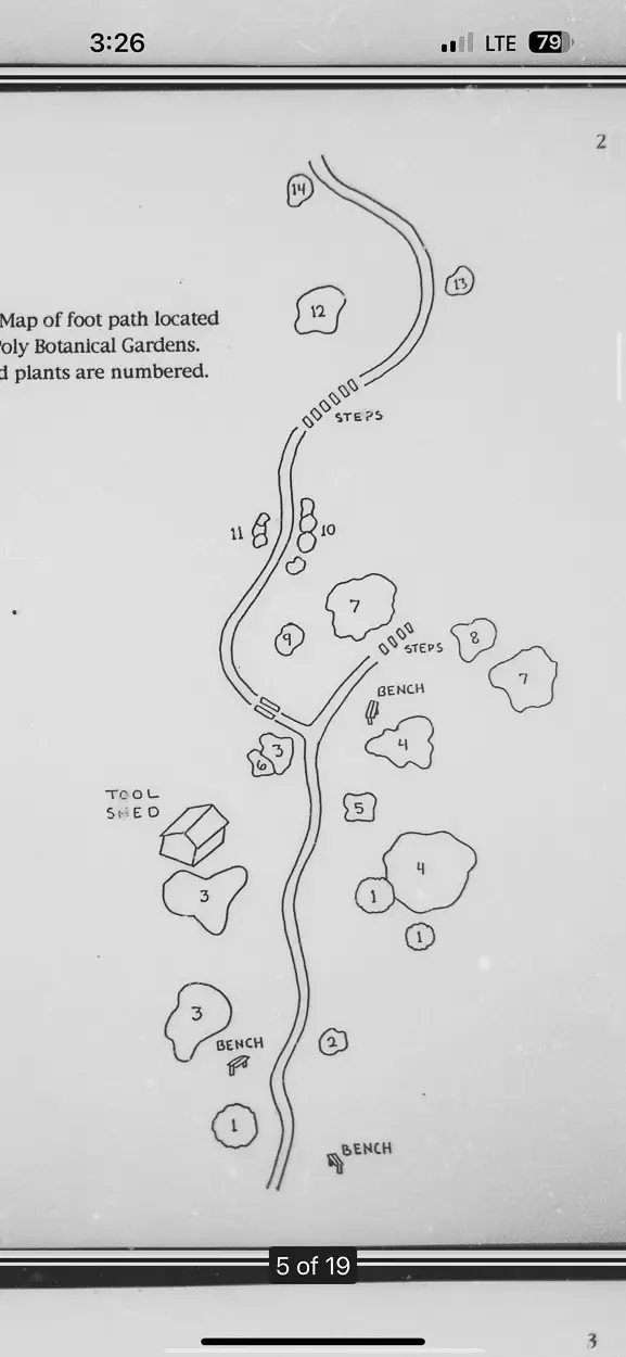 An original map from a 1990s botanist guide through the botanical garden. Many of the accessories are still intact today.