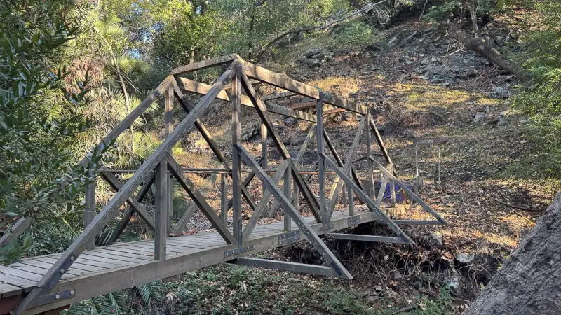 Modern day photo of the wooden bridge that takes yout out to the botanical garden.