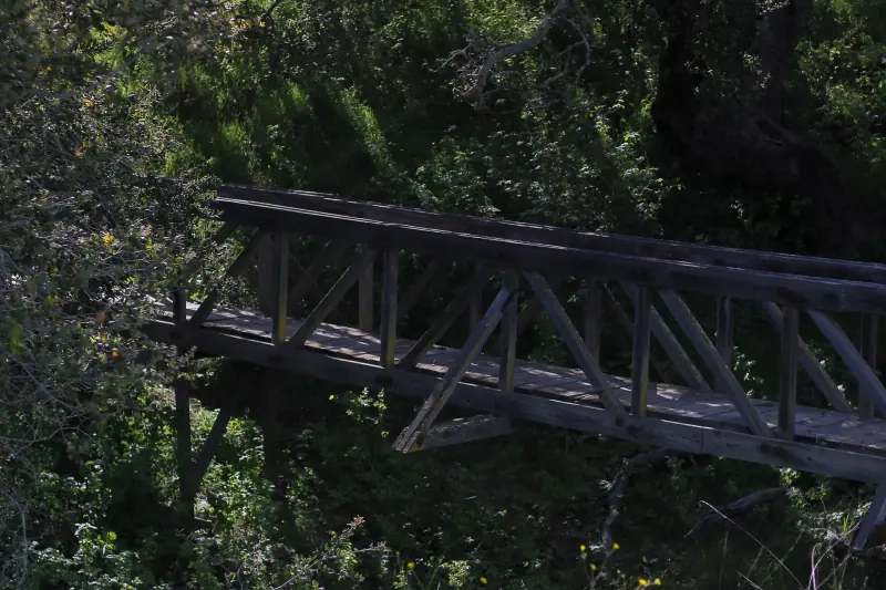 Close-up image of the Timber Truss.