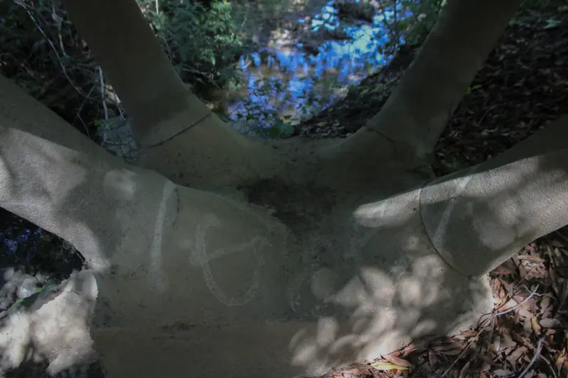 Close-up image of the Techite Bridge.