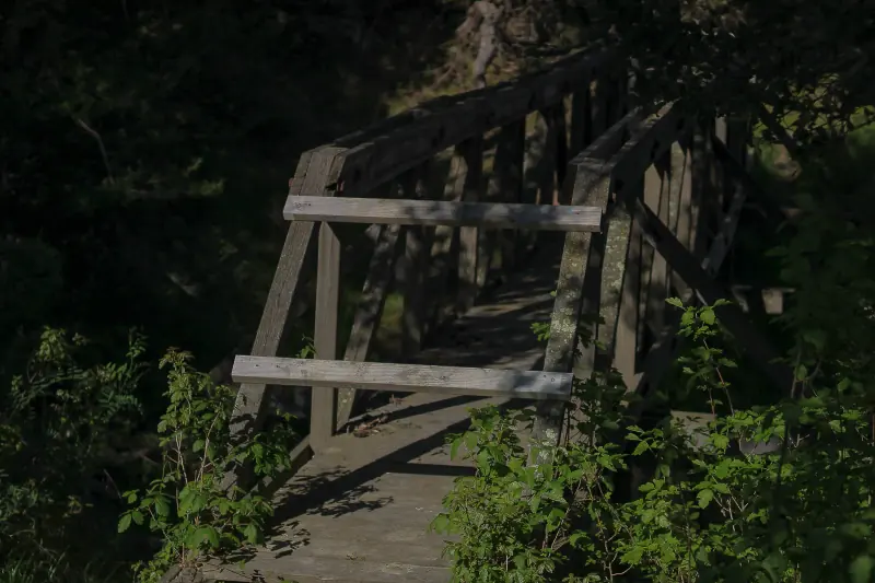 Main image of the Timber Truss.
