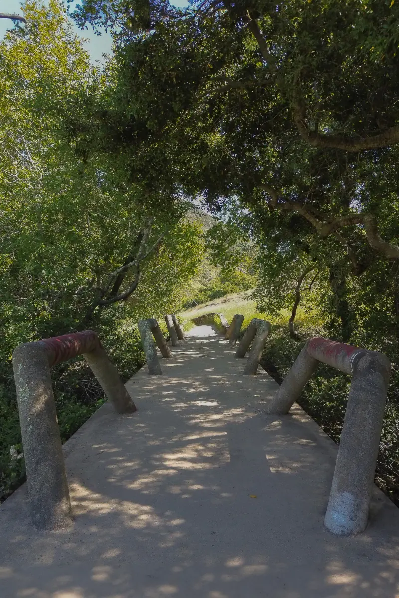 Main image of the Techite Bridge.
