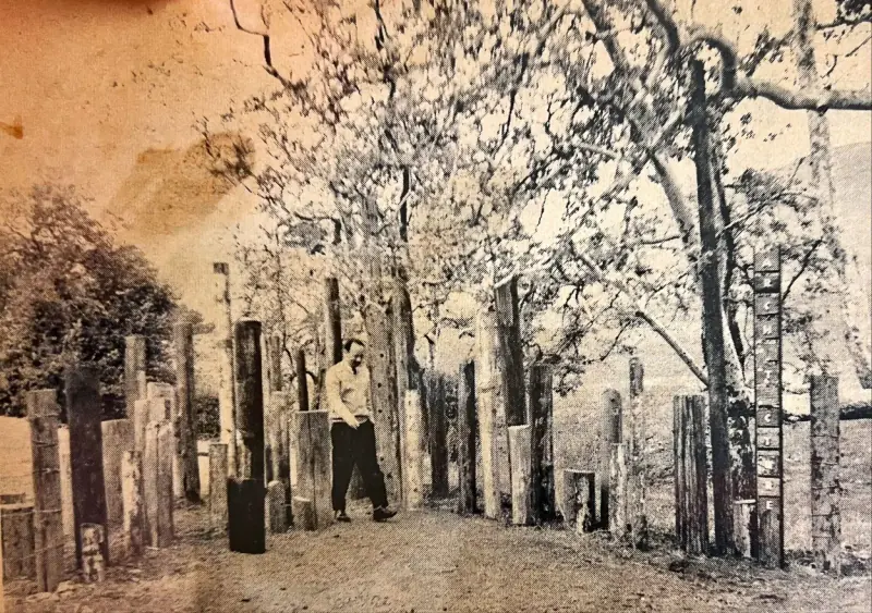 Main image of the Cow Fence.