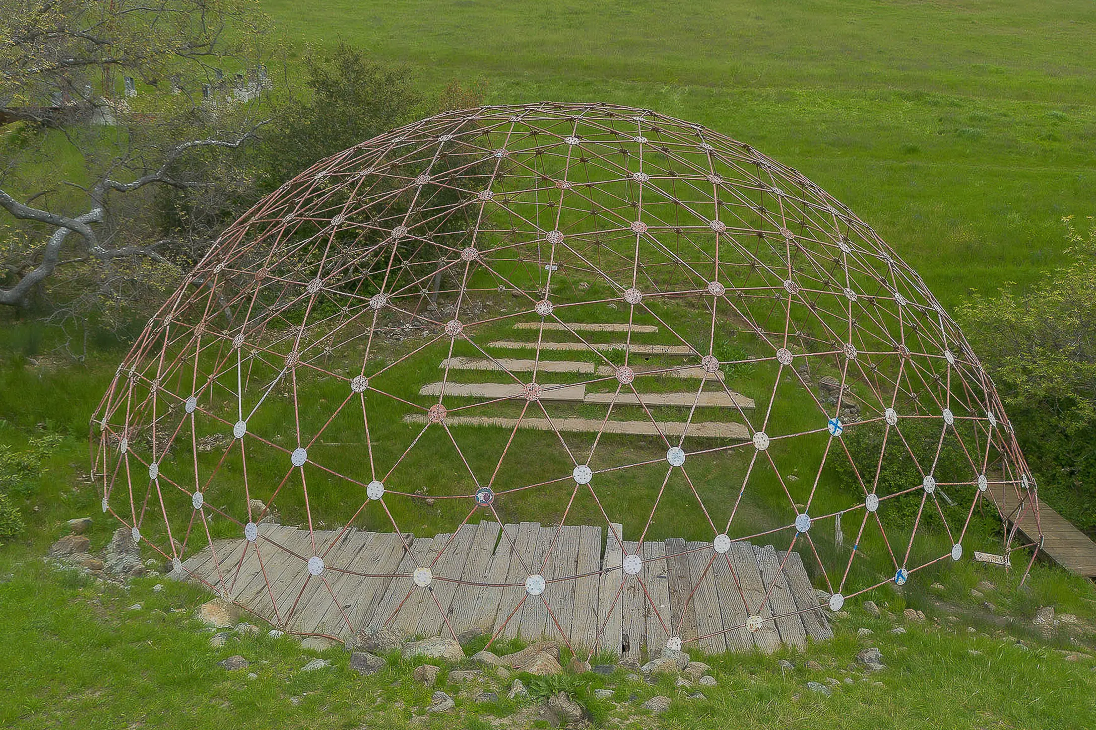 Grid Image 1